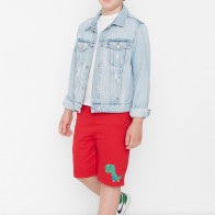 Trendyol Red Embroidered Boy's Woven Shorts & Bermuda TKDSS22SR0314 Red 9-10 Yaş