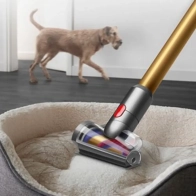Changyutgich Dyson V15 Detect Absolute 1