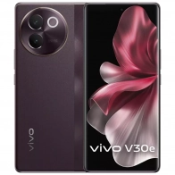 Смартфон Vivo V30E 8/256GB Коричневый
