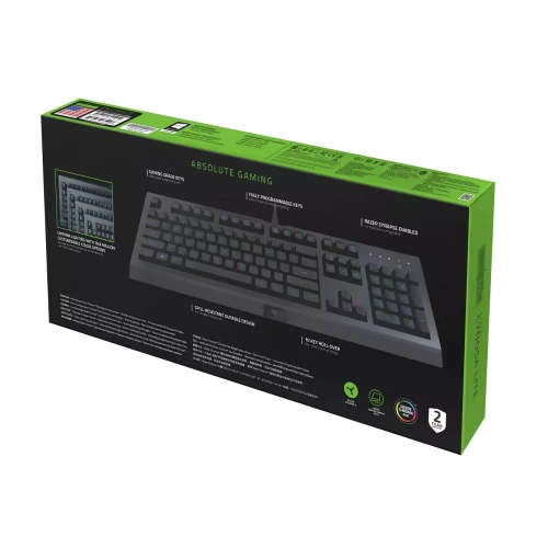 Клавиатура игровая Razer Cynosa Lite USB US layout RGB, Черный 0