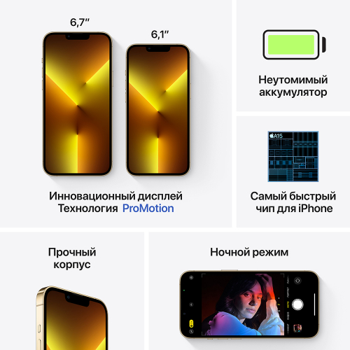 Smartfon Apple iPhone 13 Pro, 1024 ГБ, Oltin rang 5