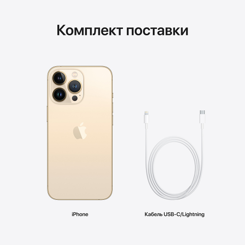 Смартфон Apple iPhone 13 Pro Max, 1024 ГБ, Золотой 6