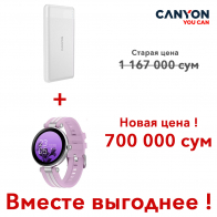 Внешний аккумулятор Power Bank 10000 mAh PB-109