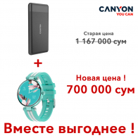 Аккумулятор Power Bank 10000 mAh PB-109